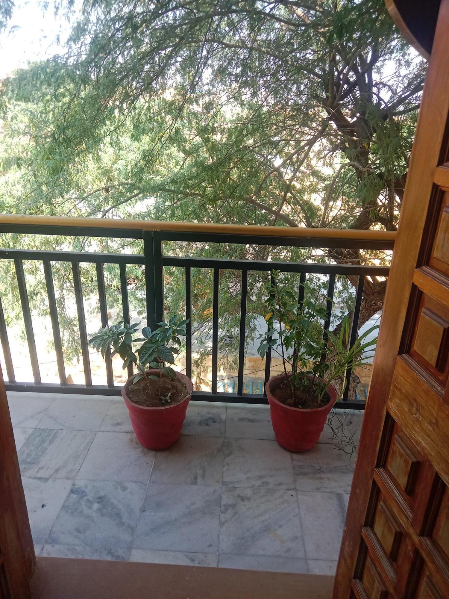 Hotel Neem Haveli Jaisalmer Exterior foto